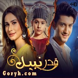 مسلسل قدر نبيل مترجم