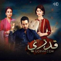 مسلسل باكستاني قدري الحلقة 8 مترجمة