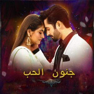 مسلسل جنون الحب الحلقة 11 مترجمة