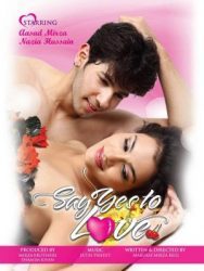 فيلم هندي Say Yes to Love 2012 مترجم