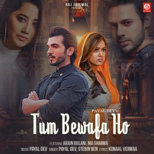 أغنية هندية Tum Bewafa Ho مترجمة