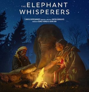 فيلم هندي The Elephant Whisperers 2022 مترجم