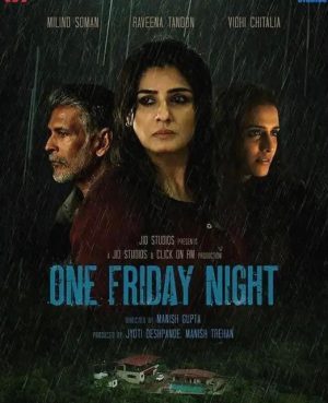 فيلم هندي One Friday Night 2023 مترجم