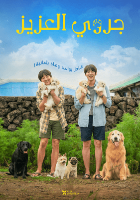 فيلم الدراما والكوميديا الكوري جروي العزيز My Heart Puppy 2023 مترجم