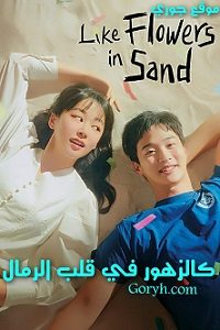 مسلسل كالزهور في قلب الرمال Like Flowers in Sand الحلقة 12 مترجمة والأخيرة