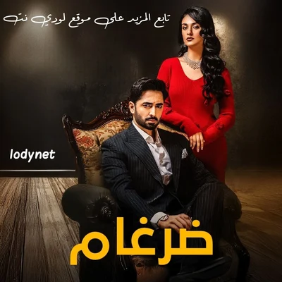 مسلسل الباكستاني ضرغام الحلقة 4 مدبلجة